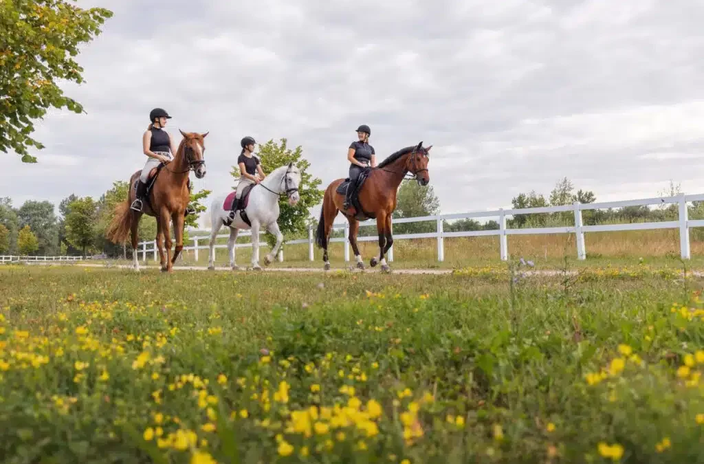 Ostéopathie pour les cavaliers sur Saumur
